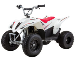 Dirt Quad 500