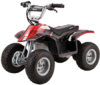 Dirt Quad